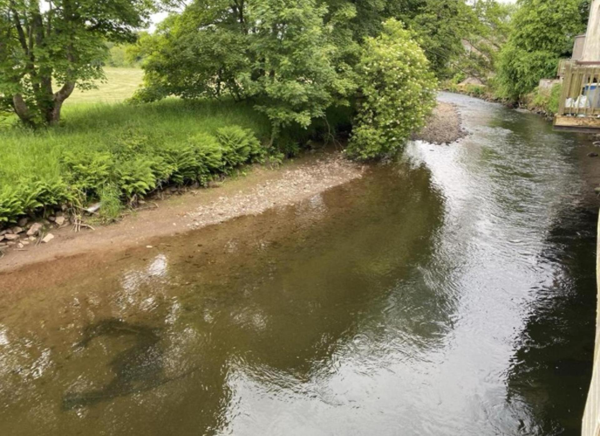 Riverbank Cottage River Ehan Double Balcony Egremont (Cumbria) מראה חיצוני תמונה